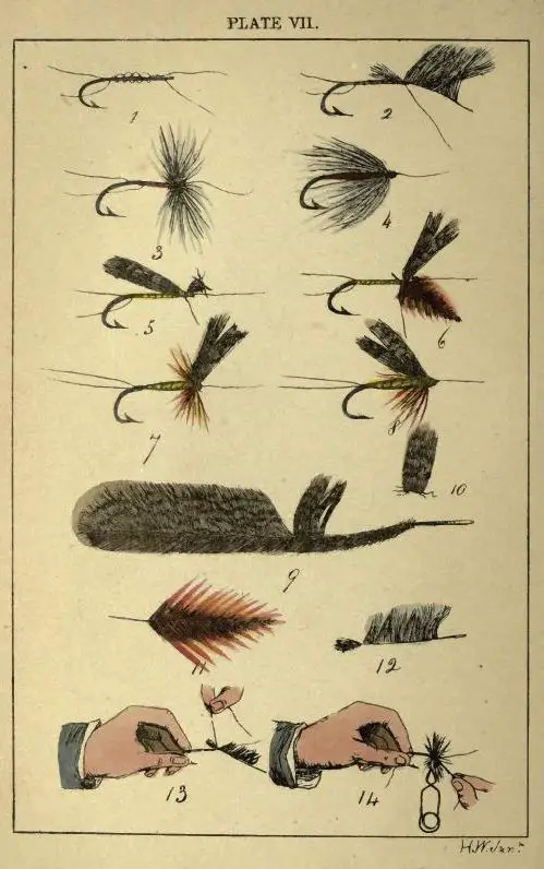 Color plate from 1860 showing how to tie flies