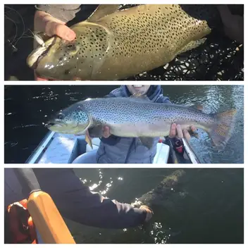 Fishing the North Fork of the White River