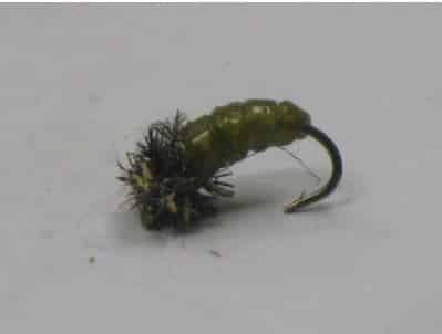 Green caddis larvae fly pattern. This is tied with "larval lace" and peacock herl. Vedry easy to tie, yet very effective for trout.