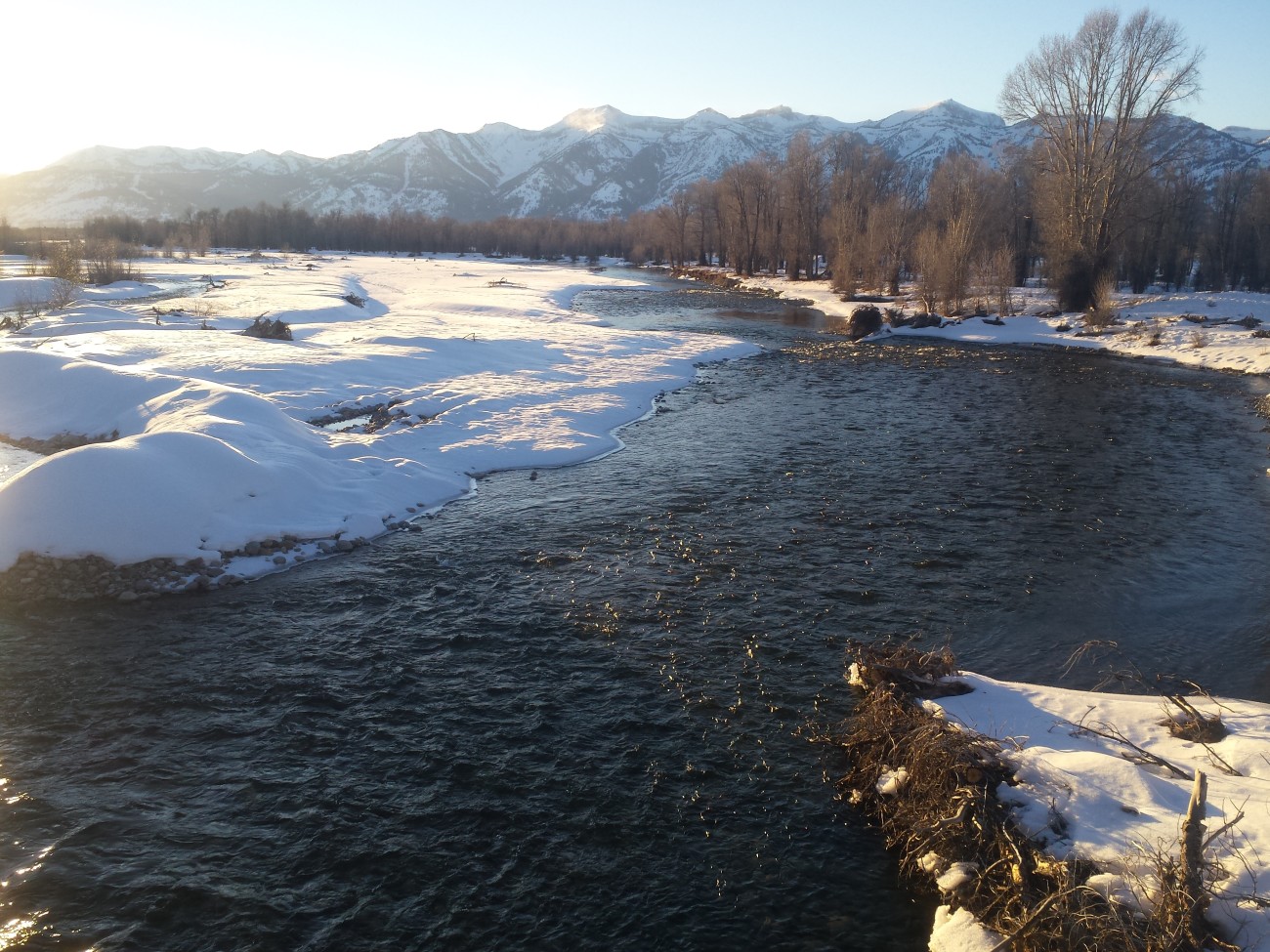 Gros ventre river in the winter 2015