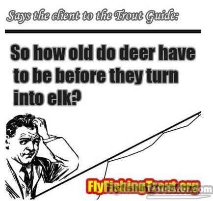 How long before deer turn into elk.