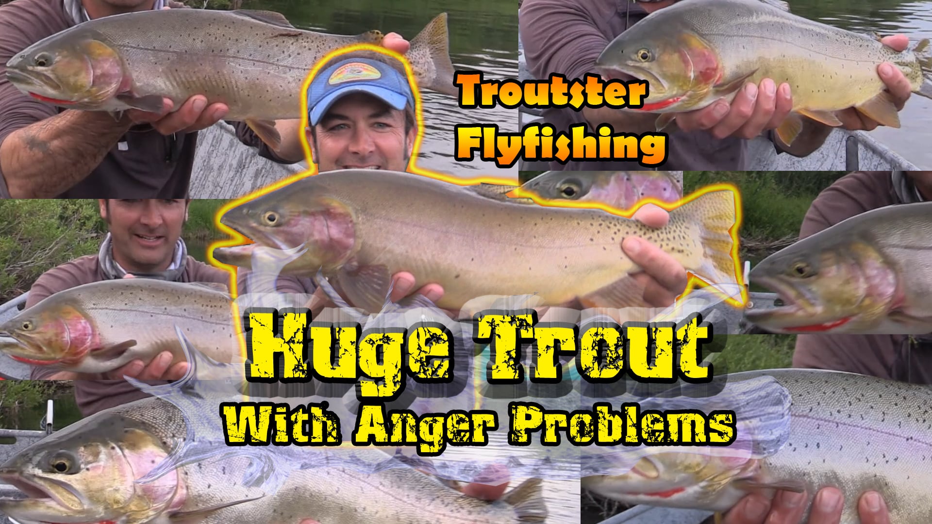 Huge cutthroat trout and cutbows in the Western USA