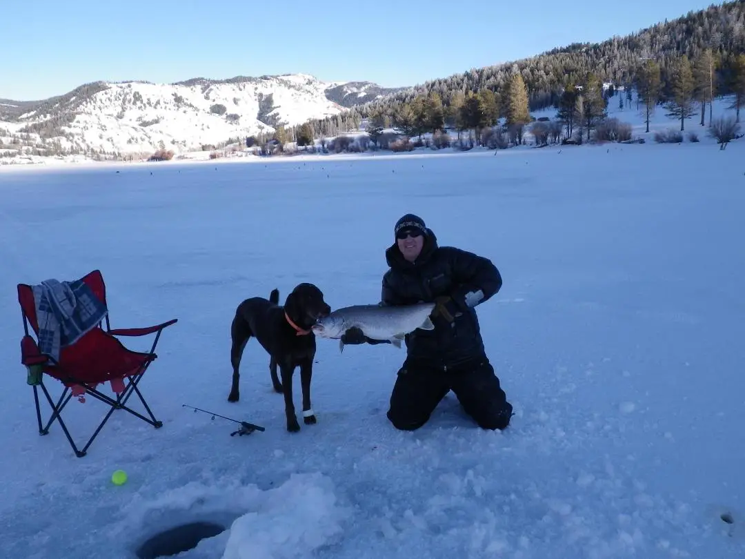 Big lake trout caught ice fishing in Wyoming