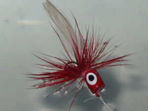 Red Popper fly, Popper Fly, trout fishing with poppers, fly fishing poppers, how to fish a popper, fly fishing bass poppers