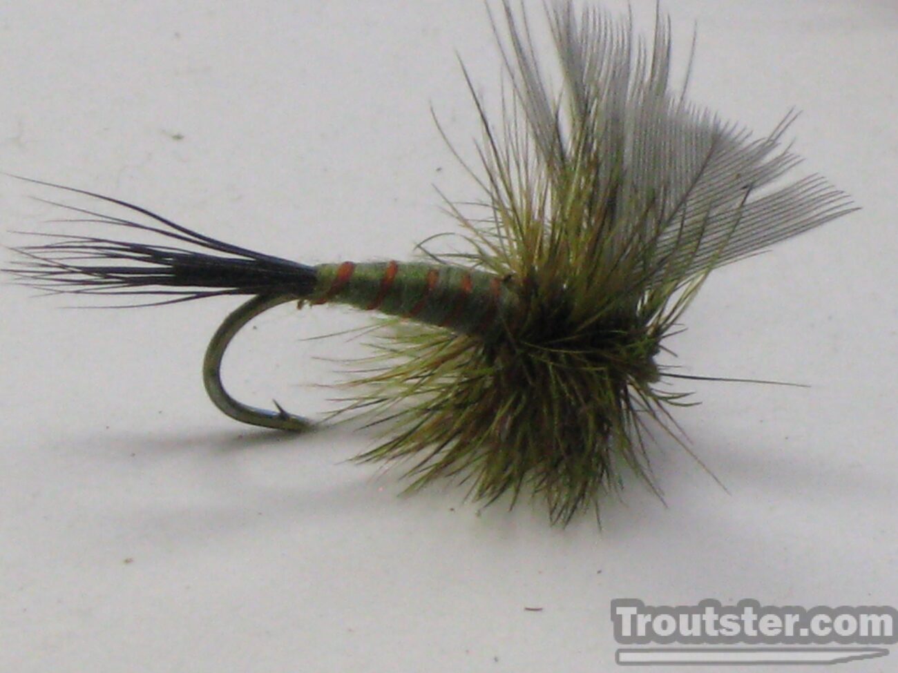 Green Drake Fly Patterns Emerger, Cripple and Spinner Patterns