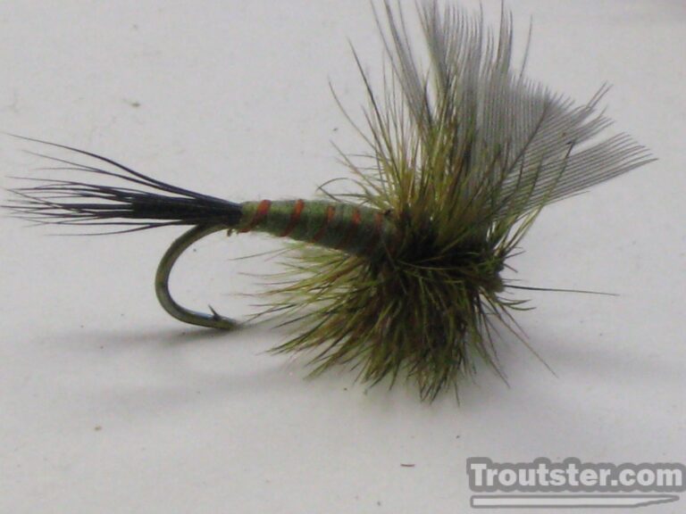 Green Drake Fly Patterns – Emerger, Cripple and Spinner Patterns ...