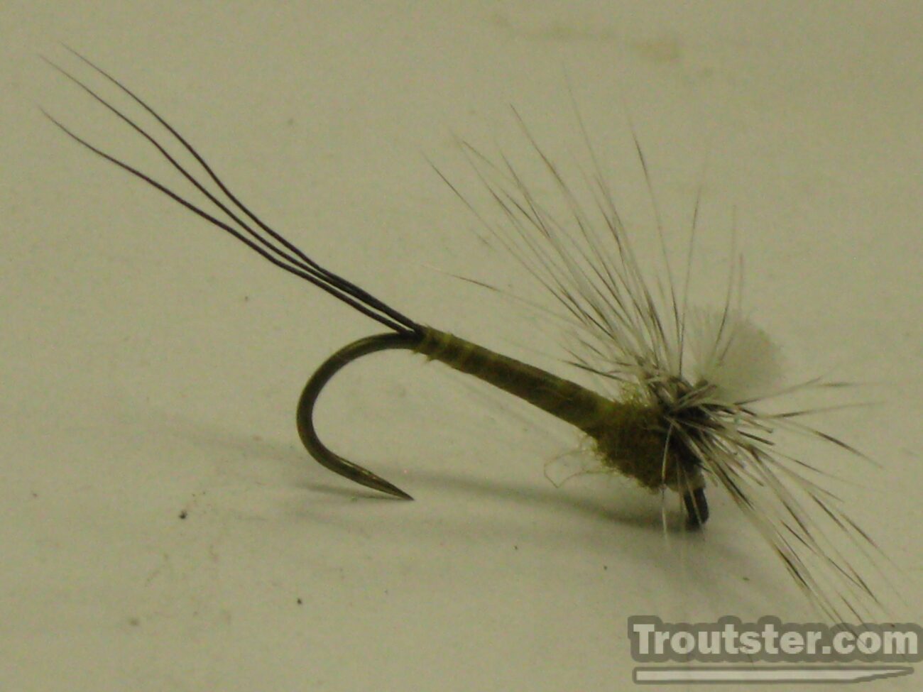 Green drake spinner, green drake fly pattern, green drake dry fly pattern, green drake cripple fly pattern, green drake wet fly