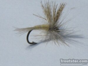 Hendrickson Mayfly – Fly Patterns And Hatch Information – Troutster.com ...