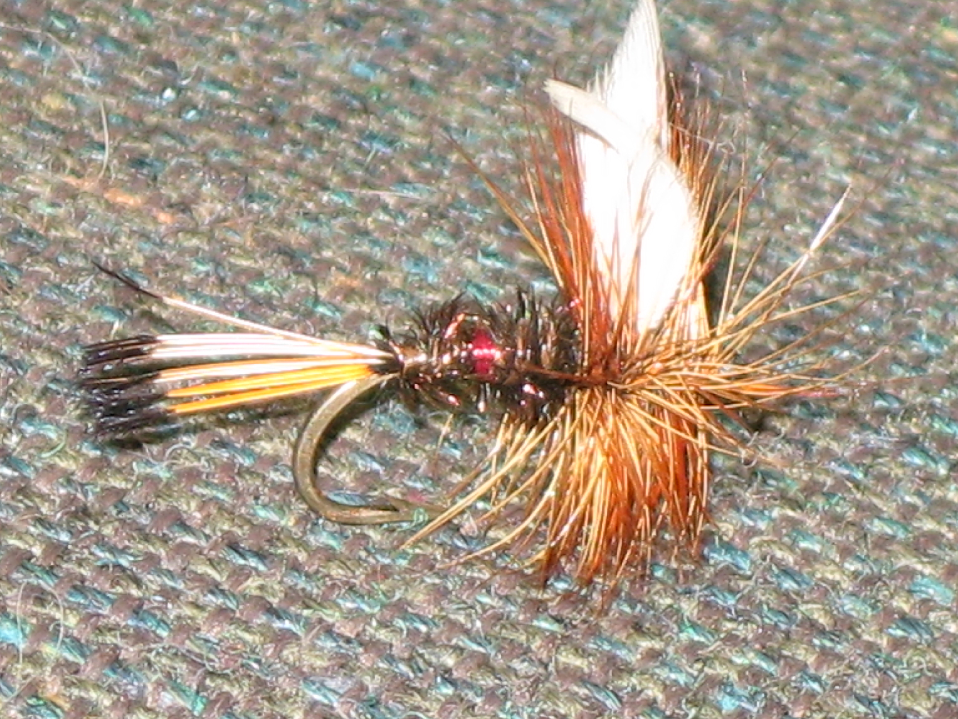 The History of the Royal Coachman Fly – Troutster.com – Fly Fishing ...