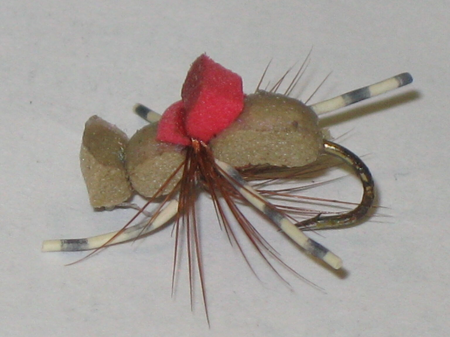 Beetle Fly Patterns Fly Fishing Tips and Tactics