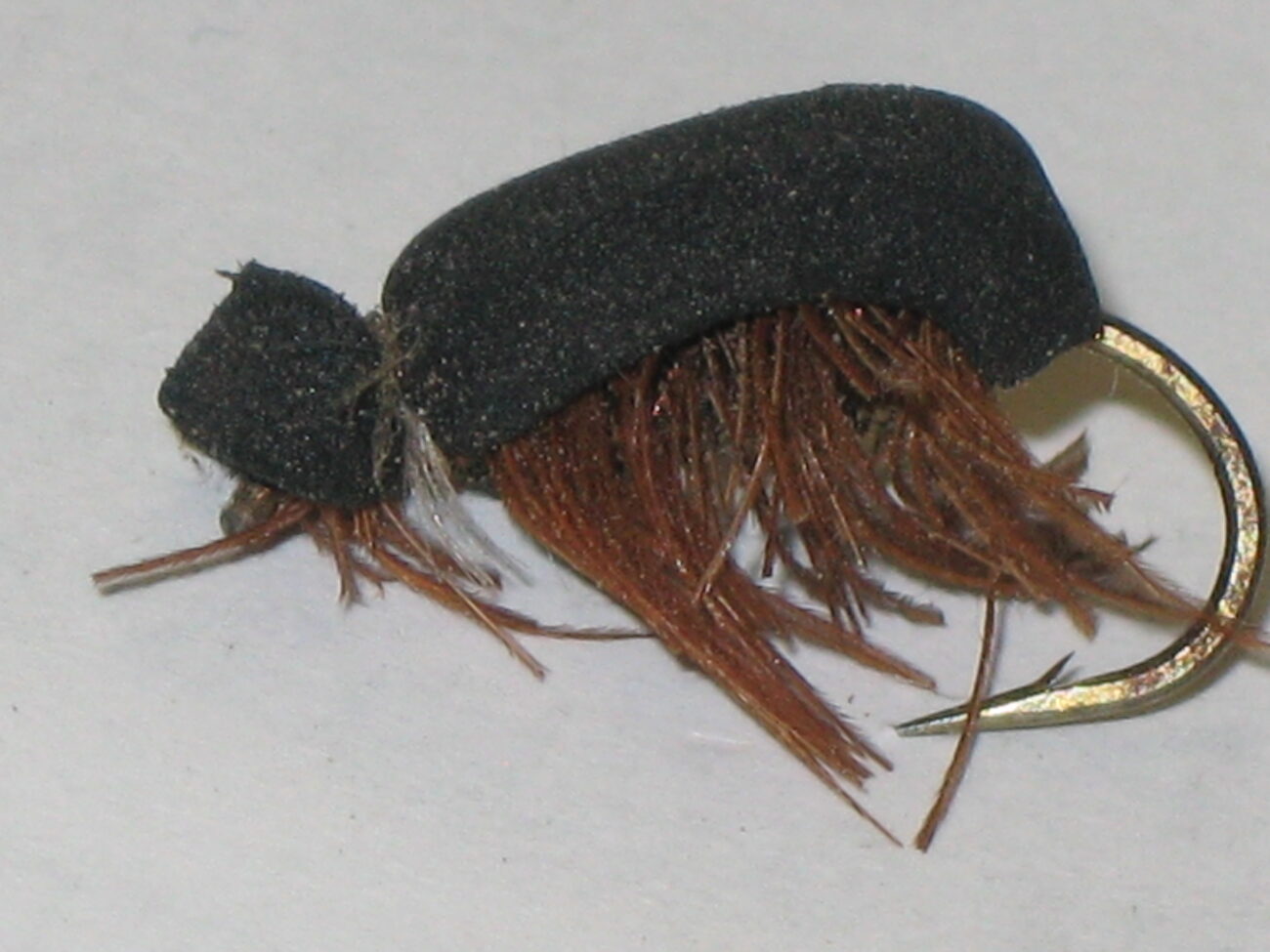 Beetle Fly Patterns Fly Fishing Tips and Tactics