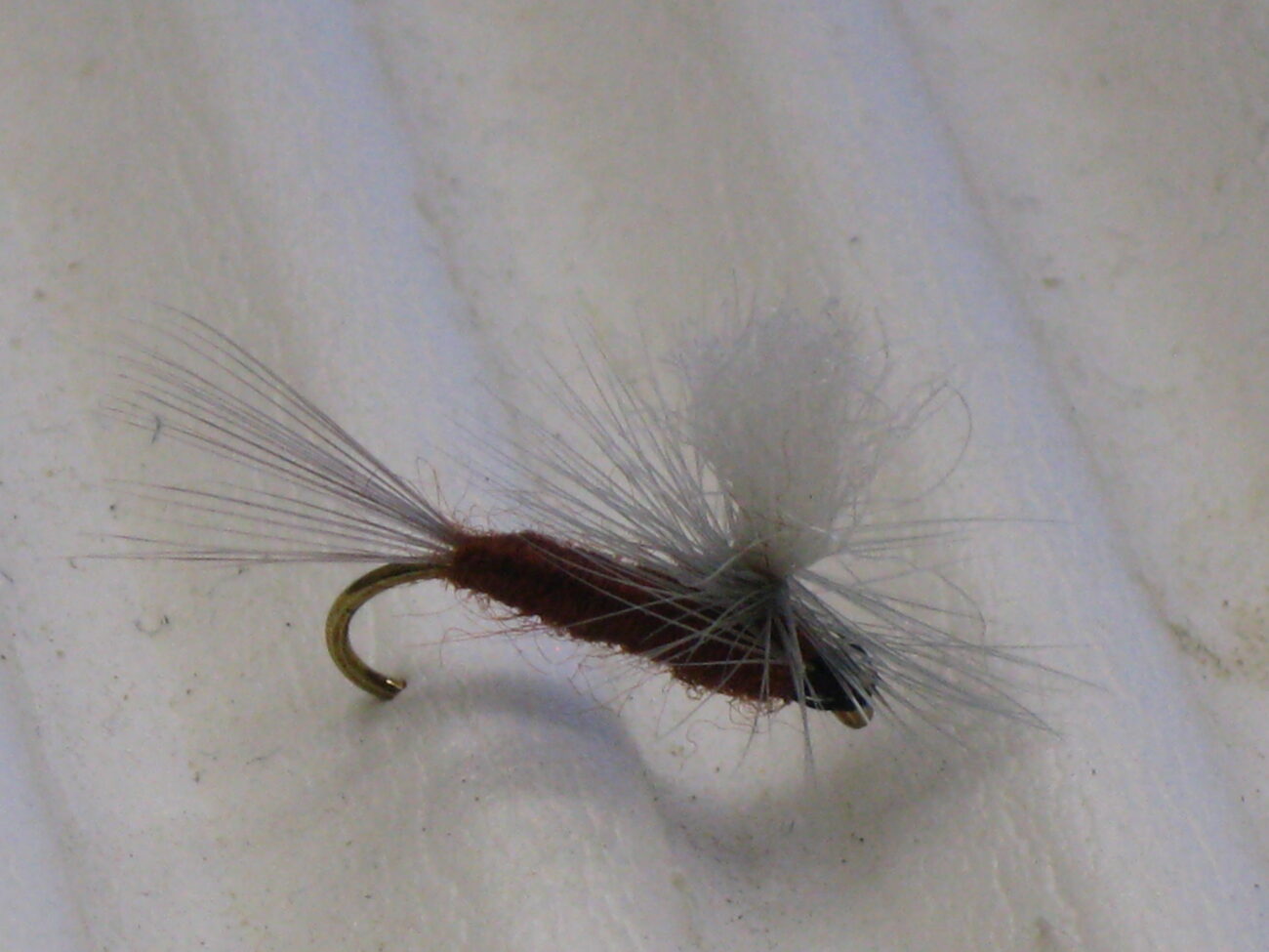 Isonychia Mayflies and Fly Pattern – Troutster.com – Fly Fishing Tips ...
