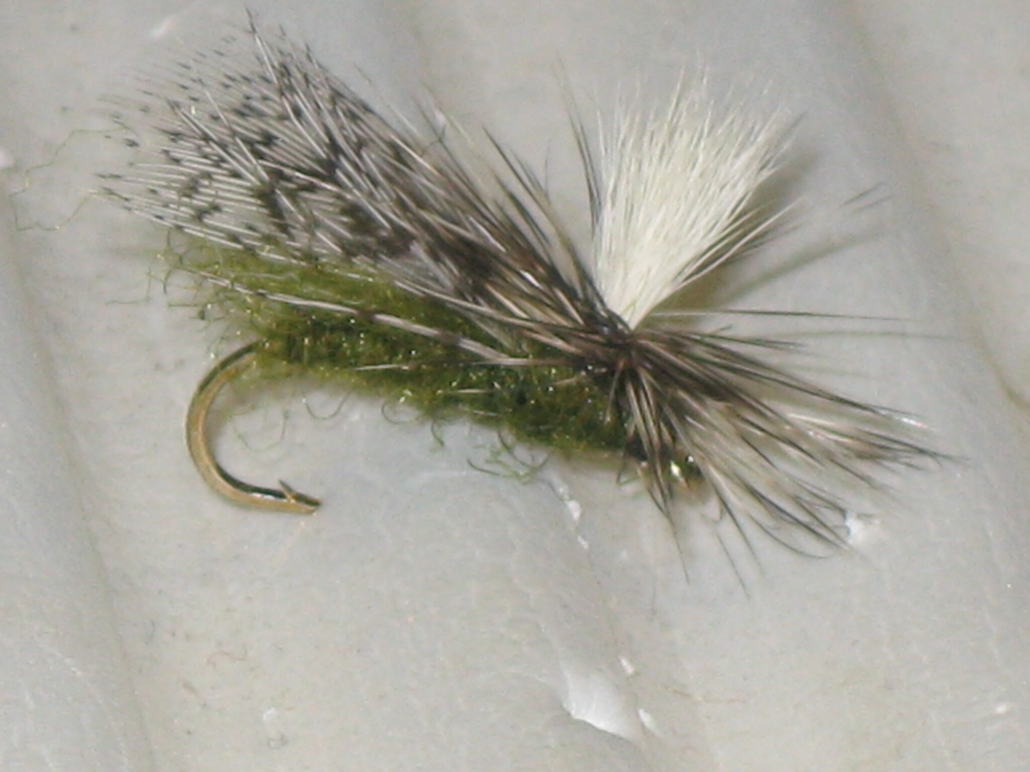EZ Caddis Fly Pattern Fly Fishing Tips and Tactics