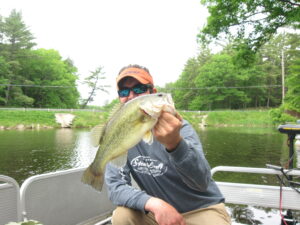 Largemouth bass caught on a fly