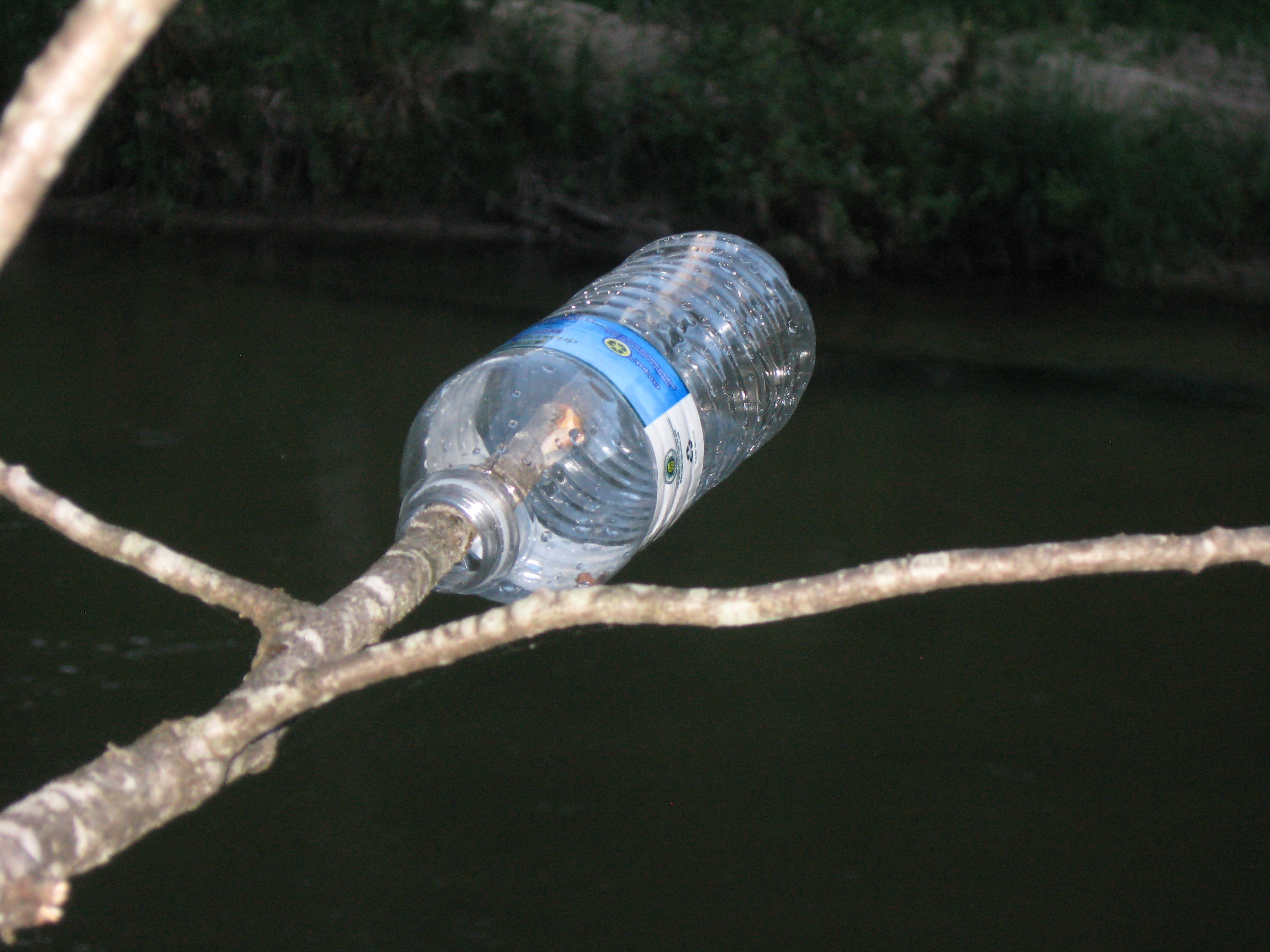 A bottle hanging from a tree marking one of the safe places to cross the river