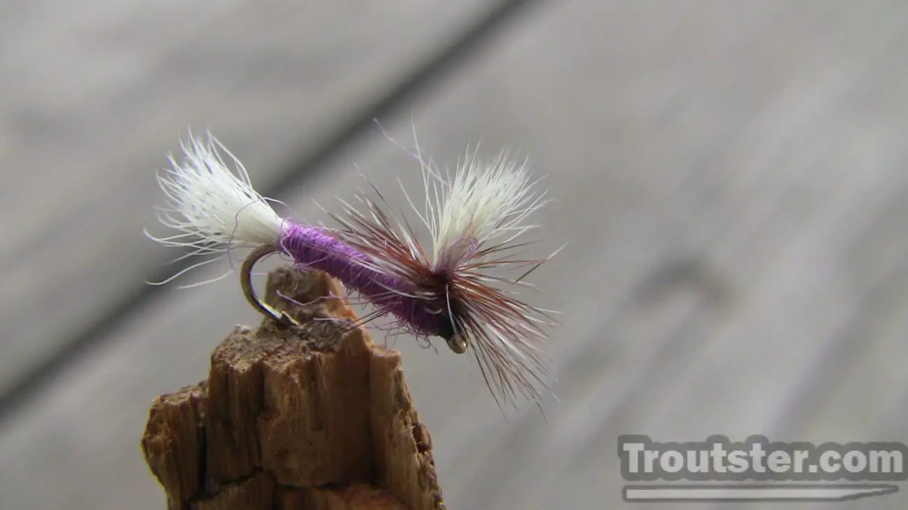 The purple haze fly tied with purple dubbing and calf hair parachute