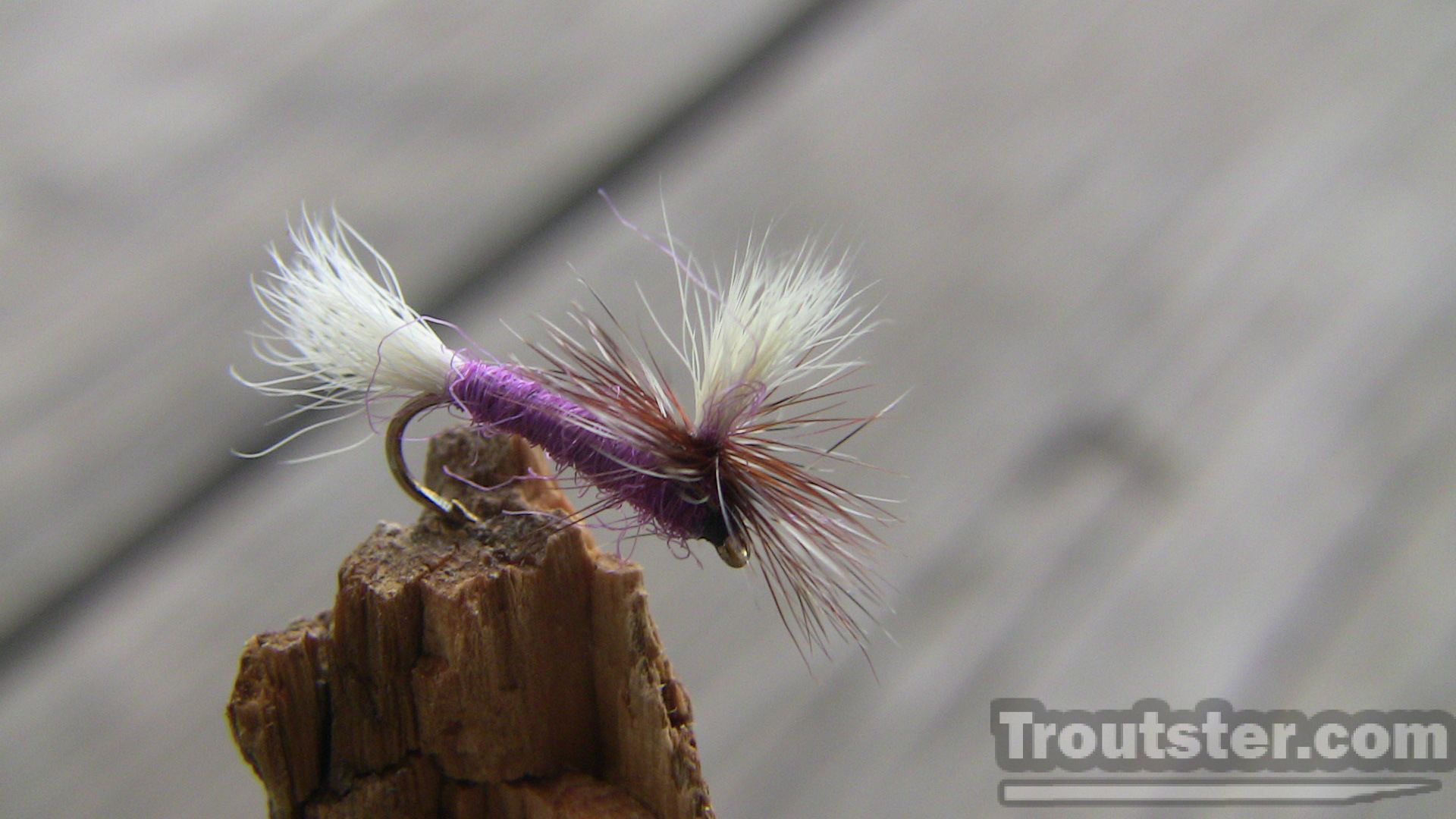 The purple haze fly tied with purple dubbing and calf hair parachute
