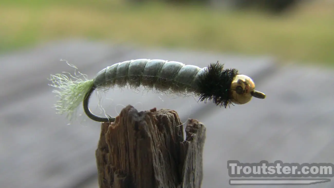 Cranefly larva tied with beadhead and peacock herl 