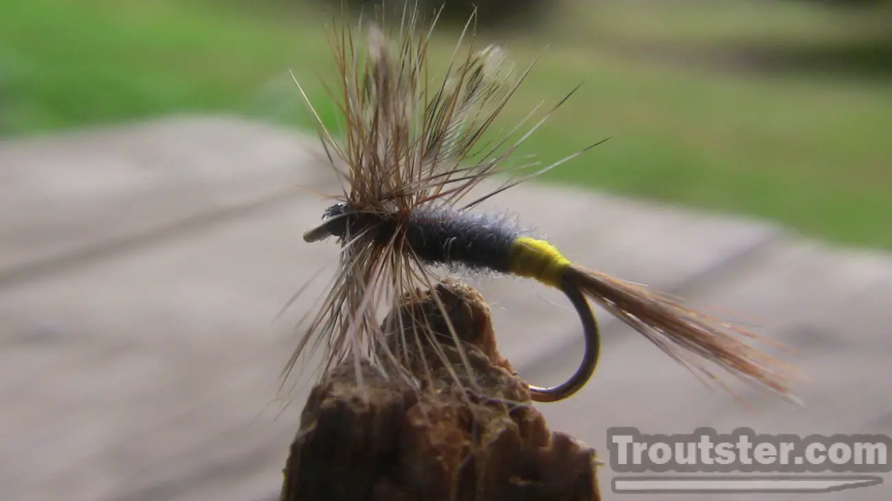 Adams Trout Fly Types and History