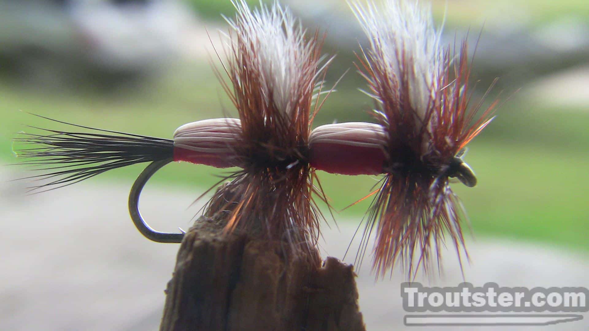 the-humpy-fly-pattern-double-humpy-troutster-fly-fishing