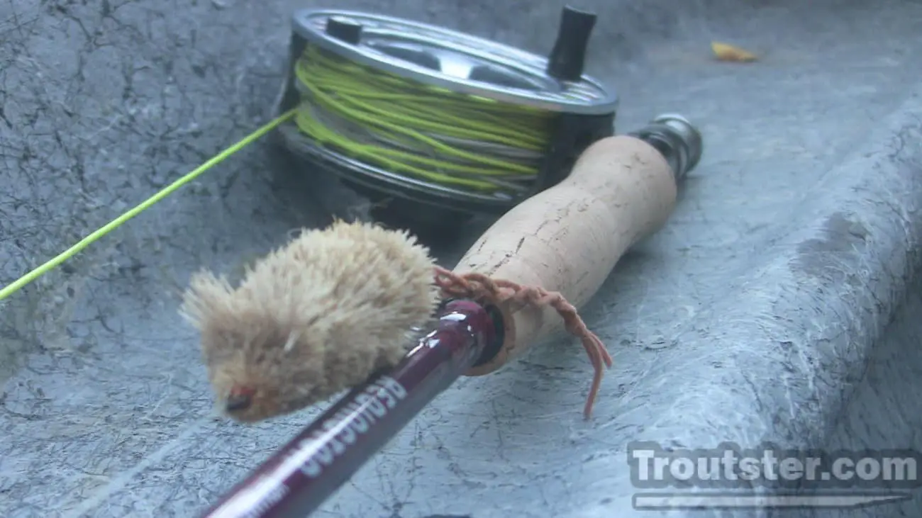 A Redington fly rod rigged with a deer hair mouse pattern