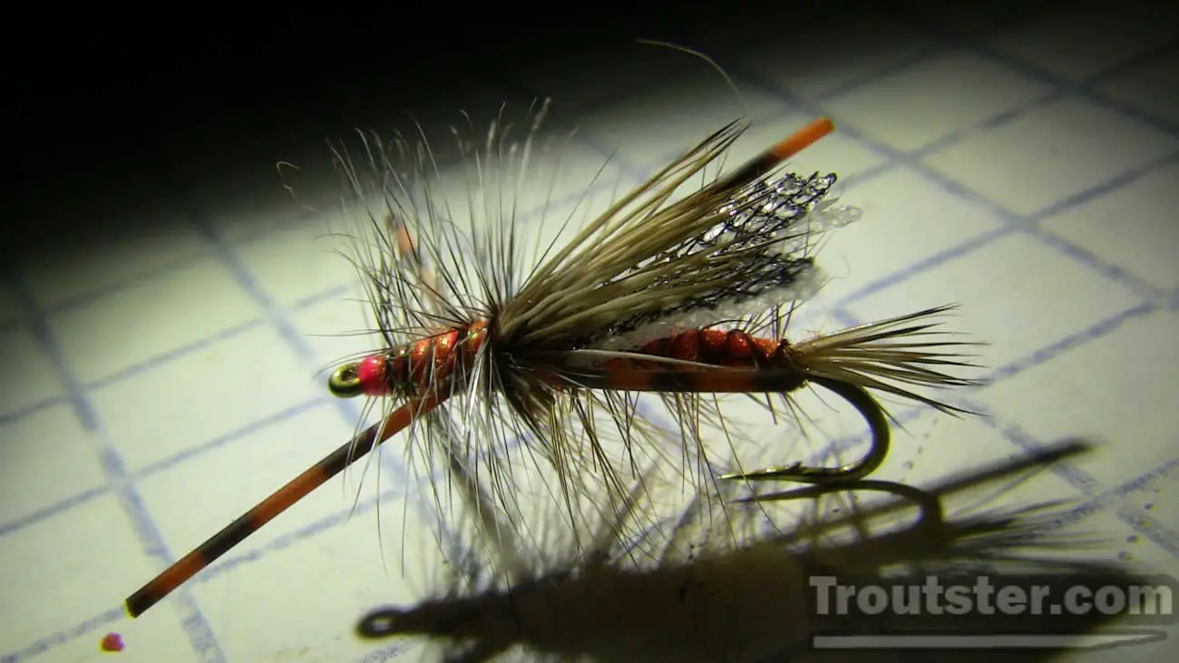 An orange stimulator fly pattern