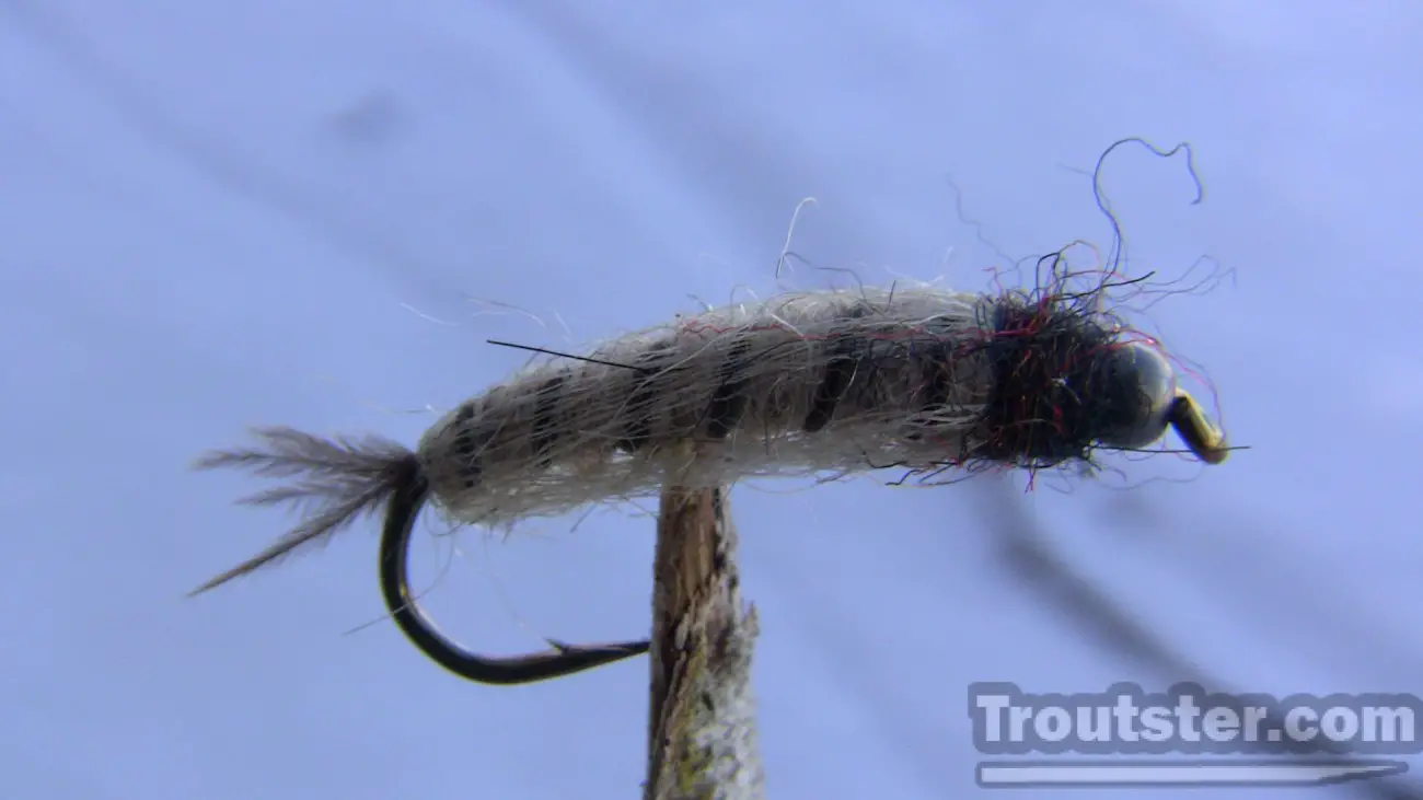 Sparkle caddis pupa with black beadhead, Caddis Pupa Fly Patterns, sedge pupa fly pattern, caddis pupa emerger, caddis pupa fly tying patterns, sparkle caddis emerger, black caddis pupa patterns