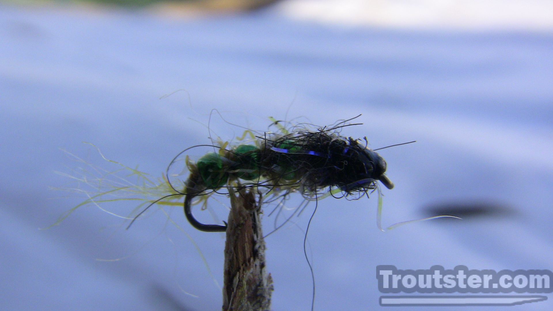 Caddis Pupa Fly Patterns – Troutster.com – Fly Fishing Tips And Tactics