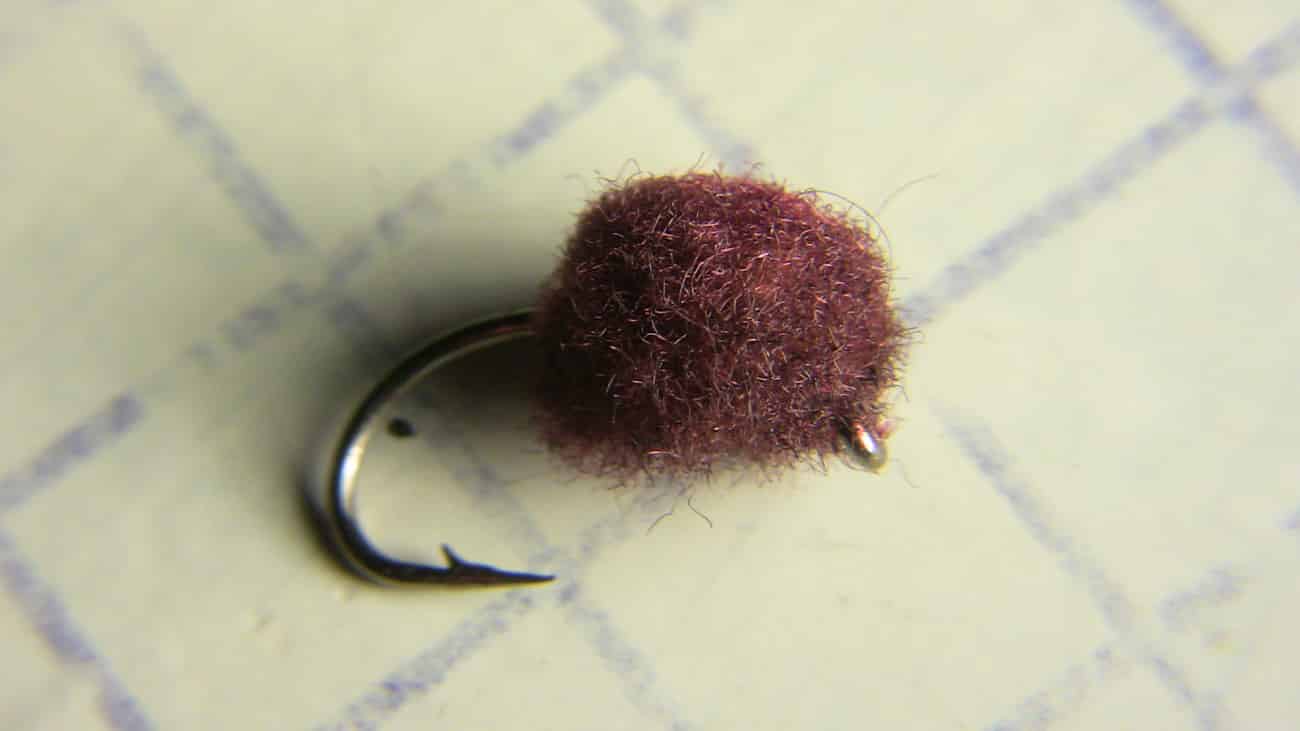 The best fly for stocked trout