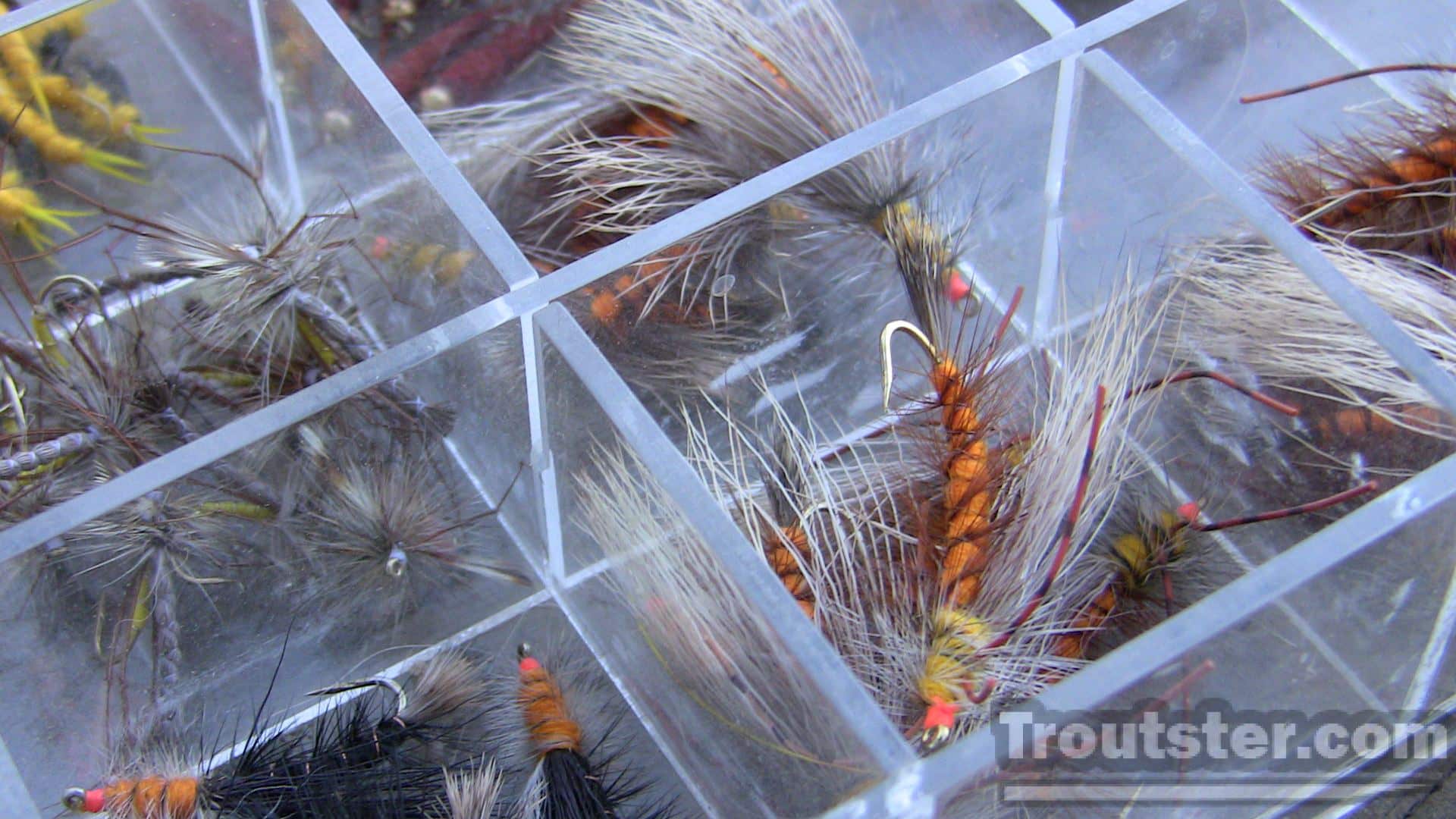 What is the Best Fly Box Choice for Each Type of Flies? Dries, Nymphs