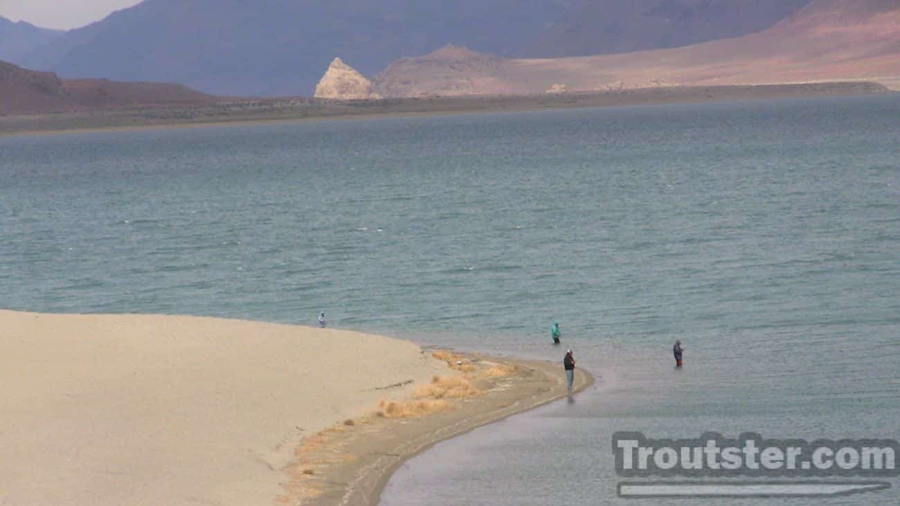 A group of fisherman on Nevada's Pyramid lake