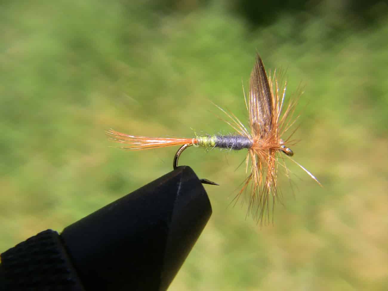 A profile view of the lady beaverkill fly, this image shows off the beauty of this productive fly. 