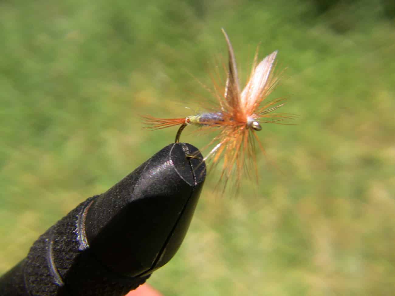 A front view of the lady beaverkill dry fly. 