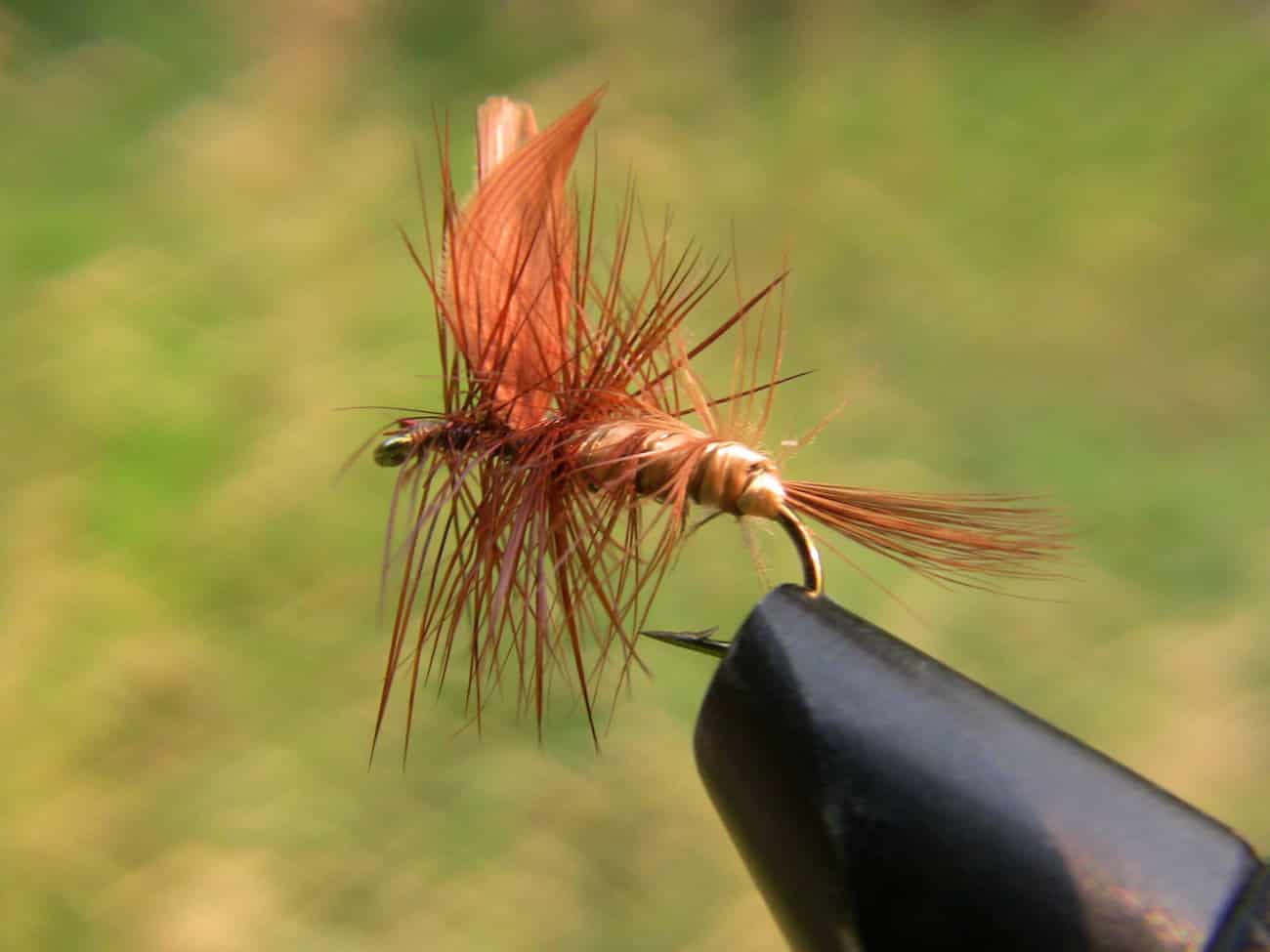 Male beaverkill fly