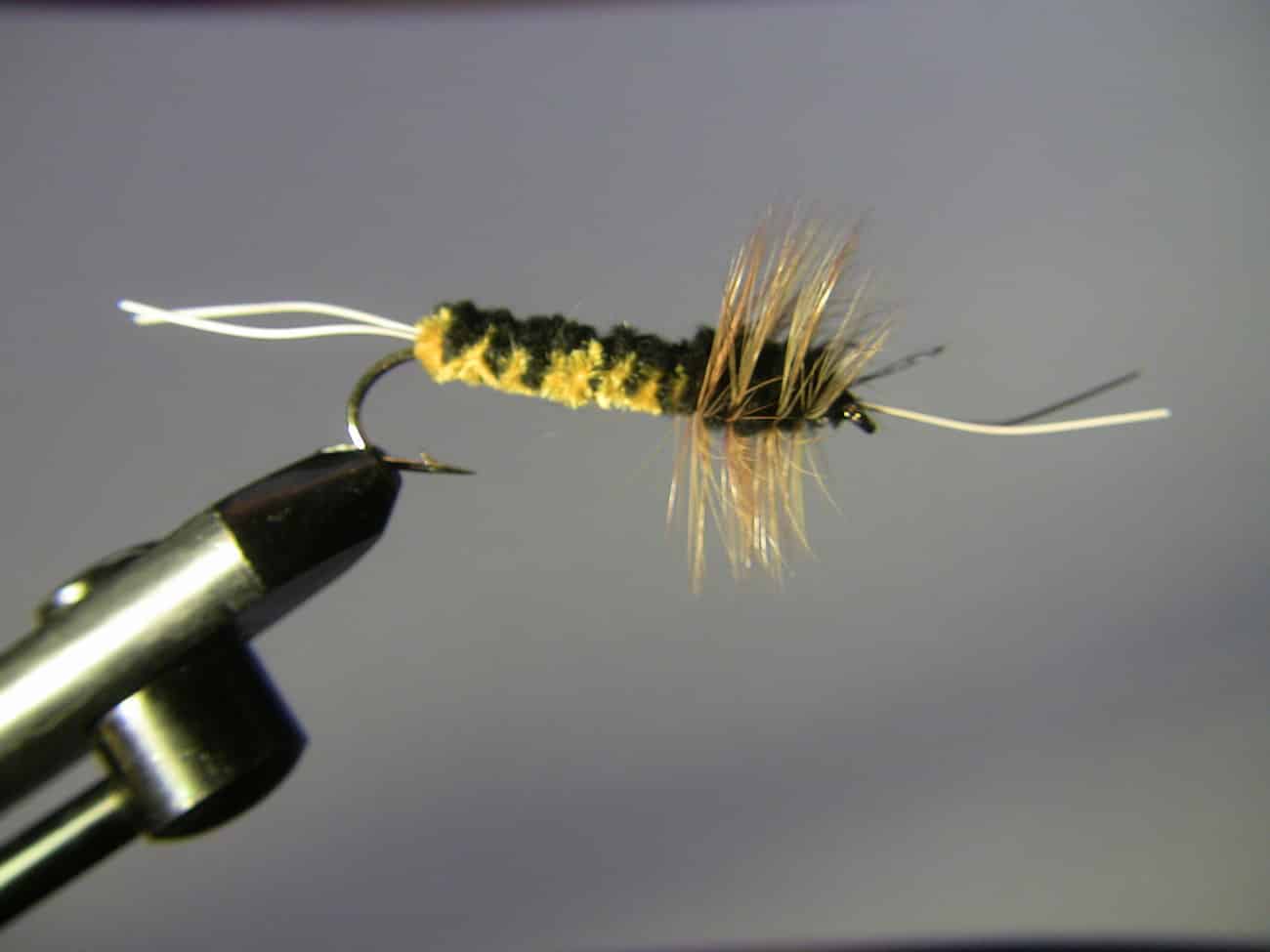 Bitch creek nymph, trout fly fishing, fly fishing setup for trout, how to fly fish for trout, fly fishing rigs for trout, how to fly fish for trout