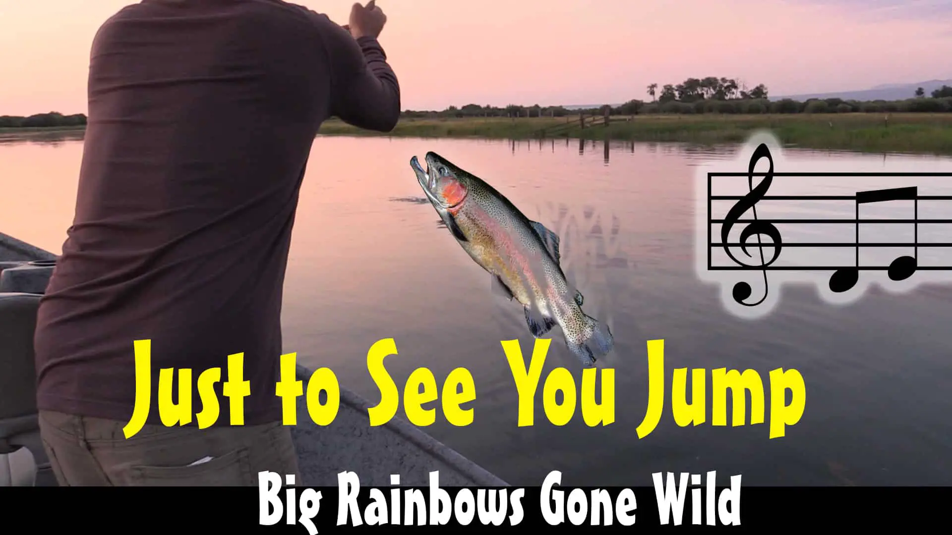 Jumping rainbow trout