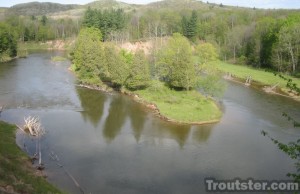 Manistee river near Wellston Michigan