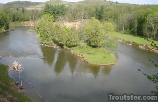 The Rivers Of Michigan That Have Steelhead Runs