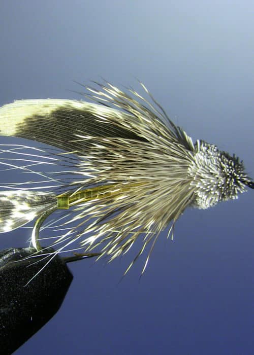 Muddler-Minnow my top trout fishing fly of all time