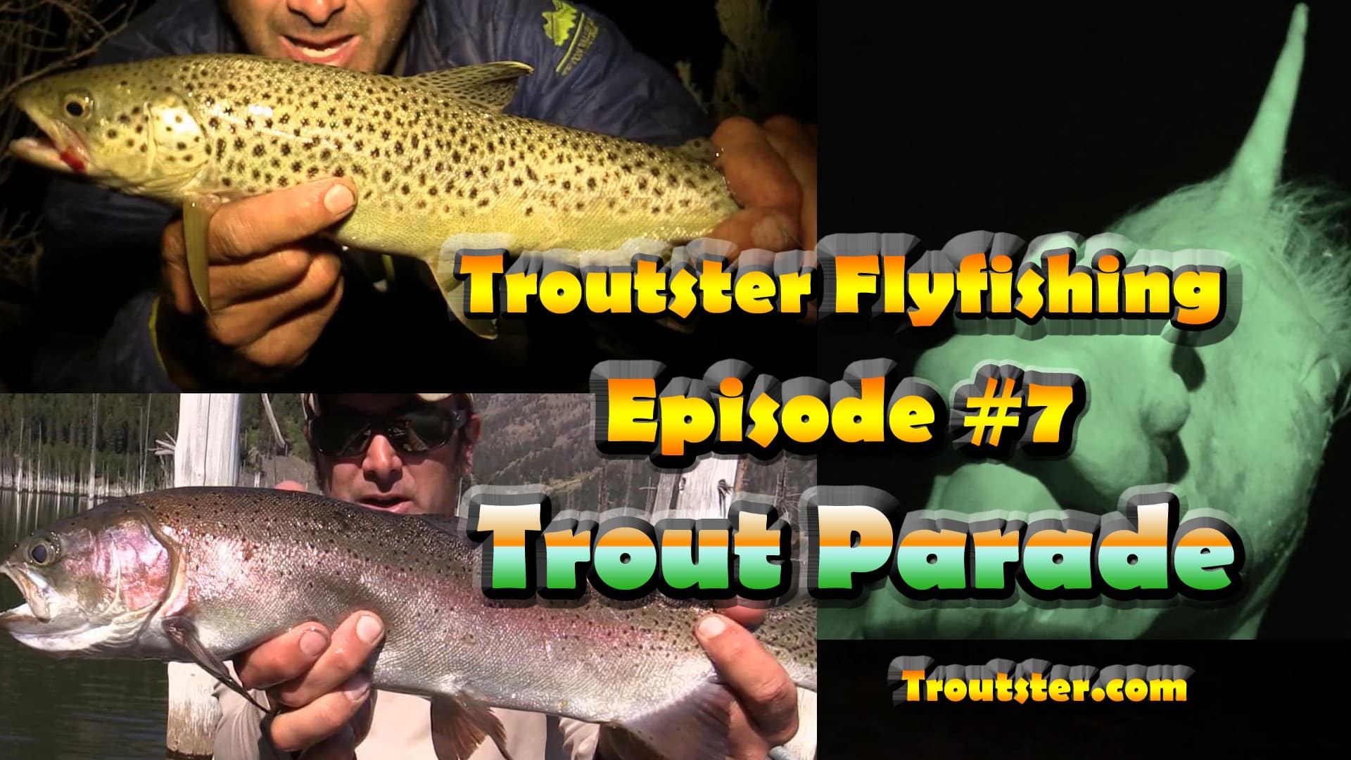 Trout fishing in Montana and Idaho - dry fly fishing action