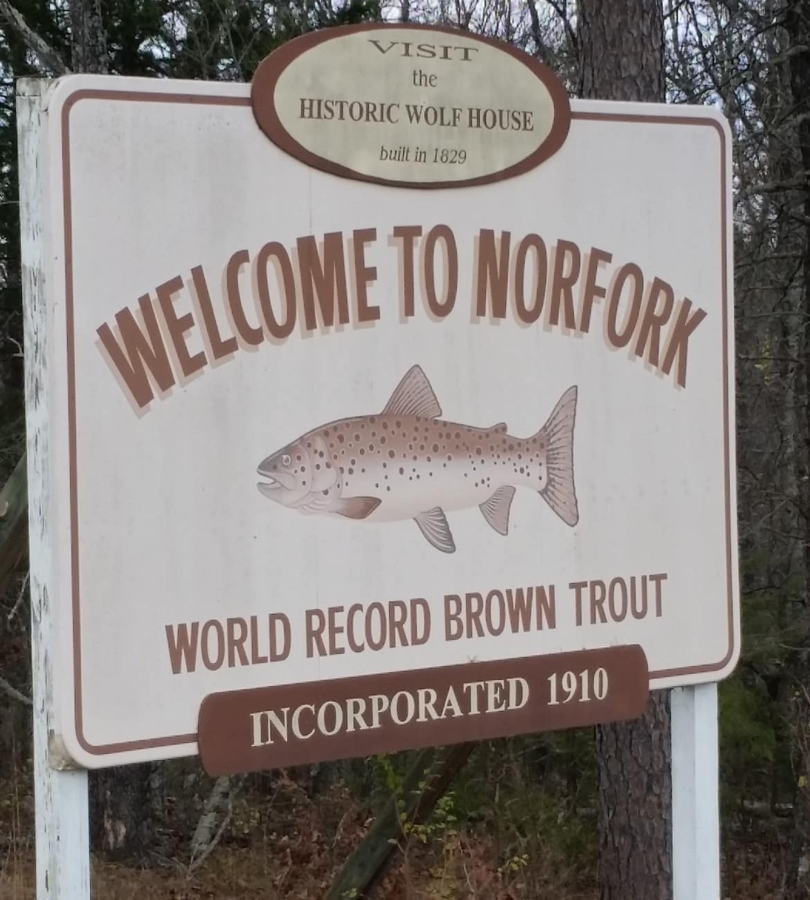 Norfork Arkansas brown trout sign