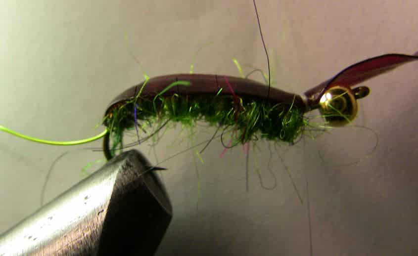 Pull the latex scud back material across the top portion of the fly and give it a few wraps to hold it in place
