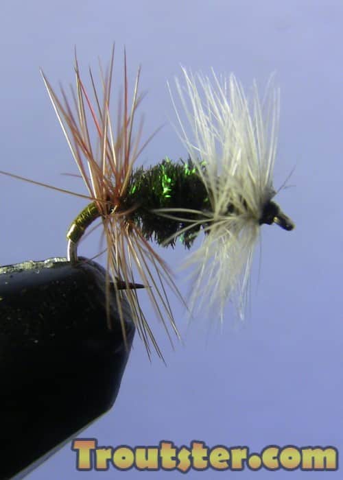 Renegade dry fly