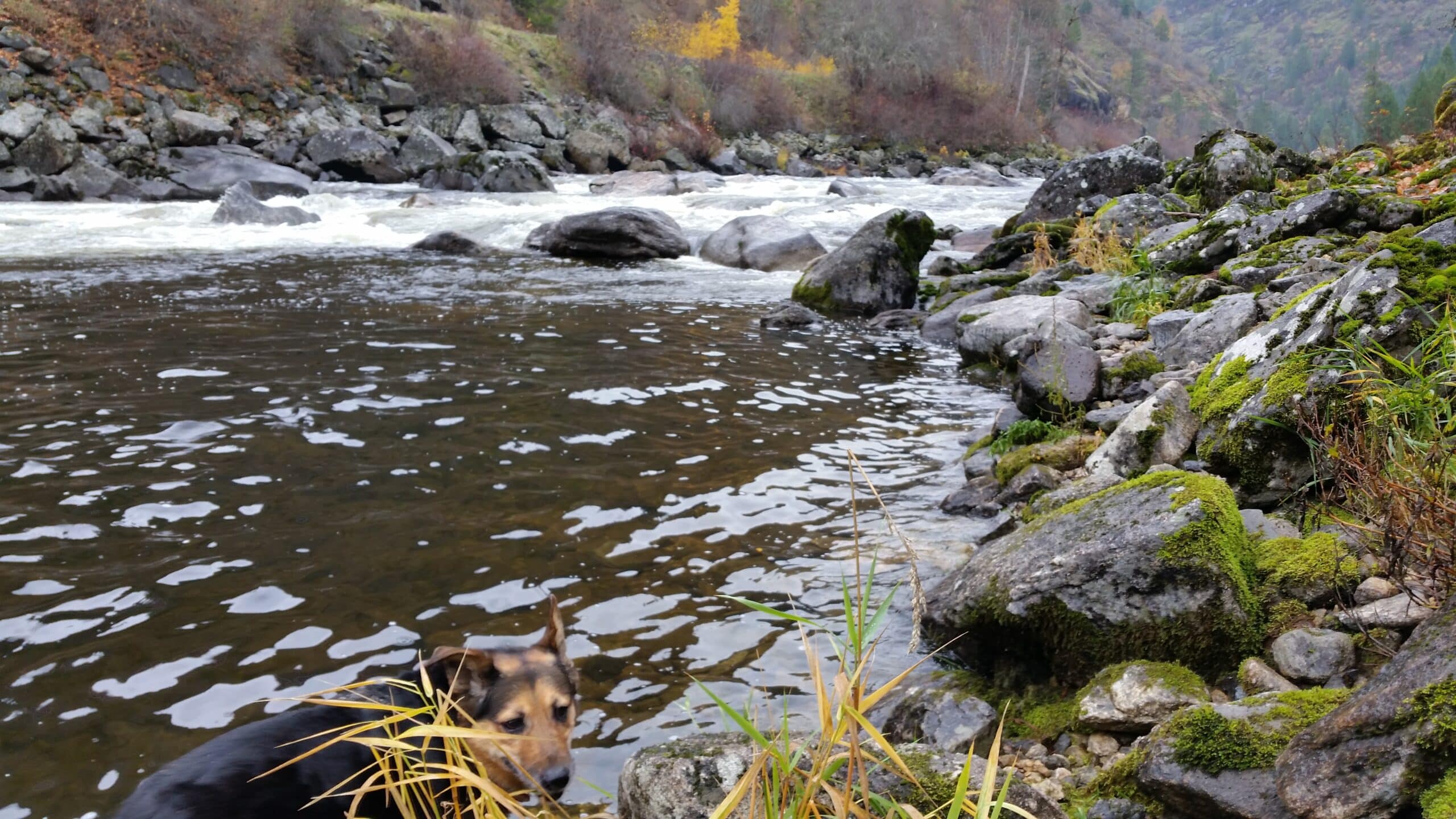 A road/fishing trip that helped me get through a bad breakup last year.