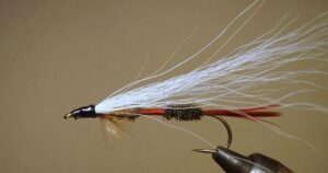 Royal coachman streamer