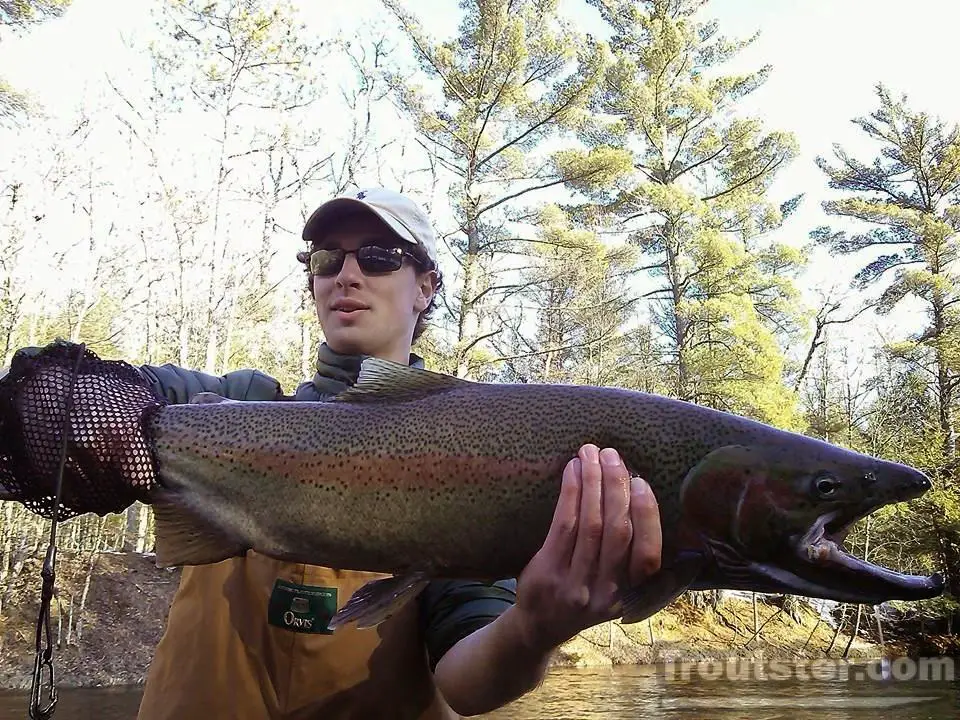 Skamania Steelhead Trout= Summer Steelhead Fun! – Troutster.com – Fly ...