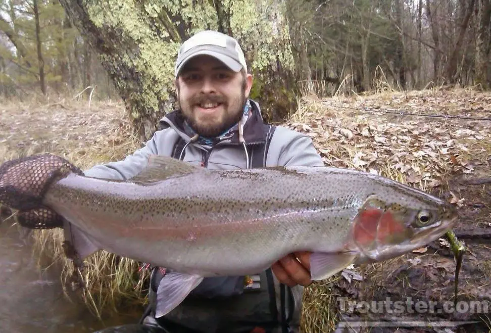 A steelhead caught in Michigan on the Pere Marquette river