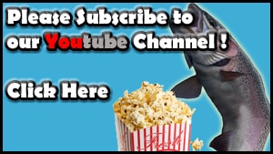 Troutster Youtube Subscribe button