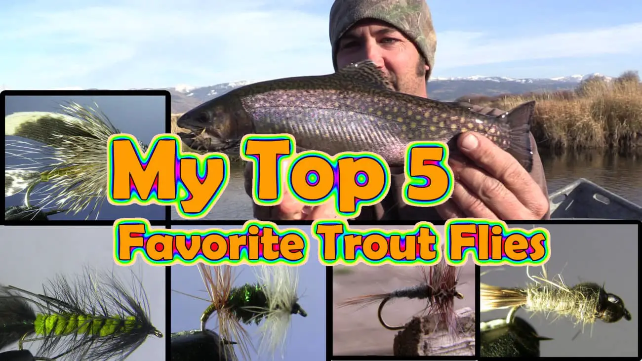 My Top 5 Favorite Trout Flies The Best Flies for Trout! (opinion