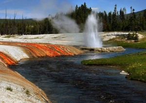 The Firehole river Yellowstone park